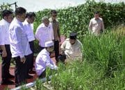 Presiden Prabowo: Indonesia Jadi Lumbung Pangan Dunia – Sekretariat Kabinet Republik Indonesia