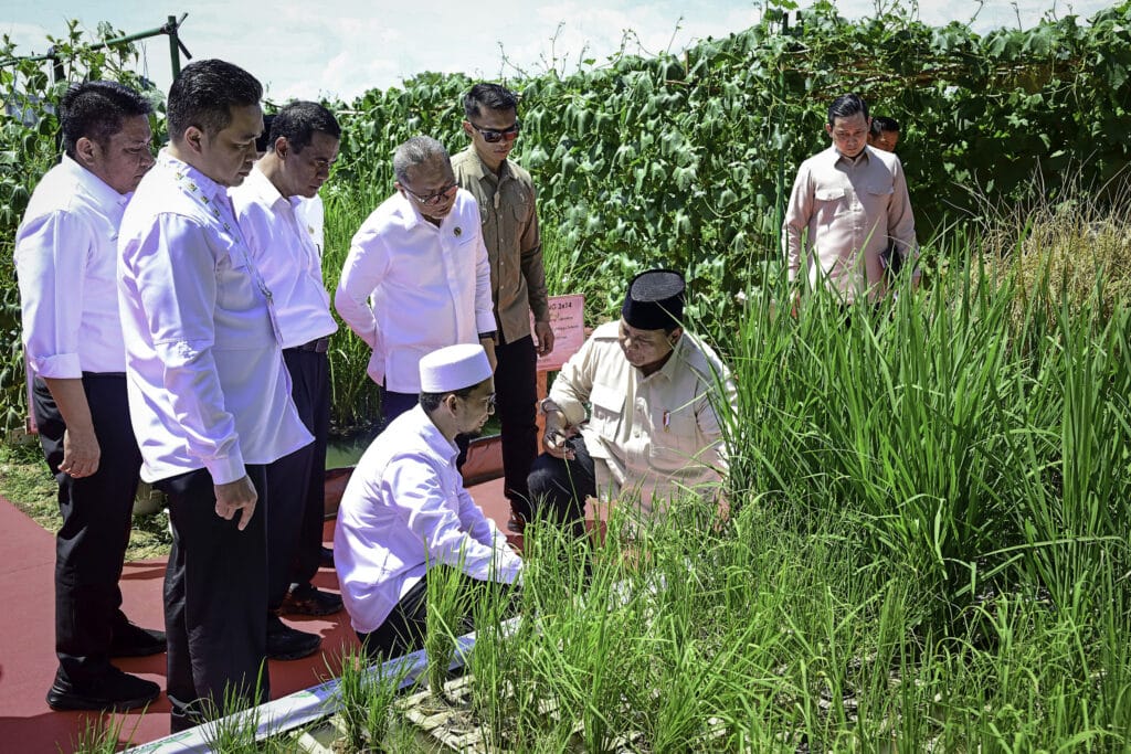 Presiden Prabowo: Indonesia Jadi Lumbung Pangan Dunia – Sekretariat Kabinet Republik Indonesia