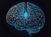 Exploring the Future of Social Interaction in the Metaverse