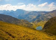 Harnessing the Power of Platform Digital for Business Growth