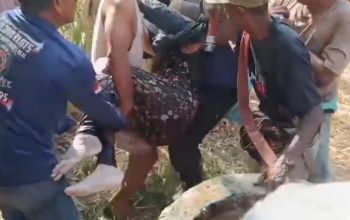 Lansia 60 Tahun Jatuh ke Sumur 10 Meter di Takalar, Diduga Bertahan Sehari Lansia 60 Tahun Jatuh ke Sumur 10 Meter di Takalar, Diduga Bertahan Sehari